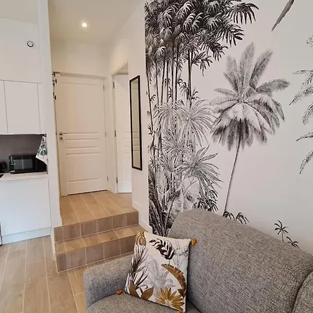 Jean Jaures - Vieux Superbe T2 Ensoleille Avec Grand Balcon Appartement *